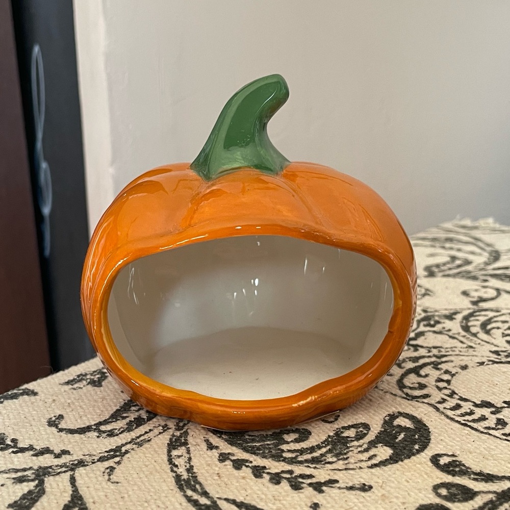 Pumpkin Scrubby Holder